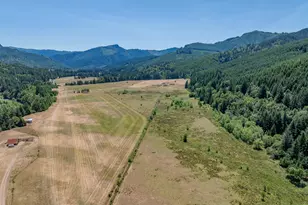 45651 Johnson Mountain Rd, Powers, OR 97466 - Photo 25