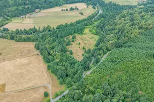 45651 Johnson Mountain Rd, Powers, OR 97466 - Photo 3