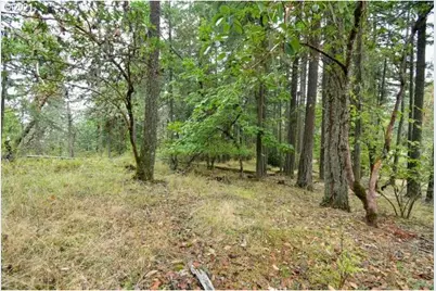 32475 Fox Hollow Rd, Eugene, OR 97405 - Photo 19