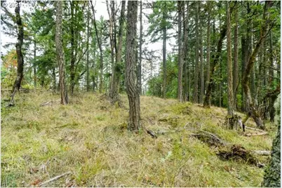 32475 Fox Hollow Rd, Eugene, OR 97405 - Photo 13