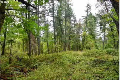 32475 Fox Hollow Rd, Eugene, OR 97405 - Photo 5