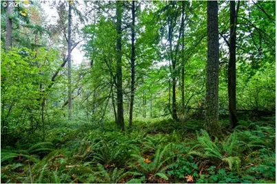 32475 Fox Hollow Rd, Eugene, OR 97405 - Photo 23
