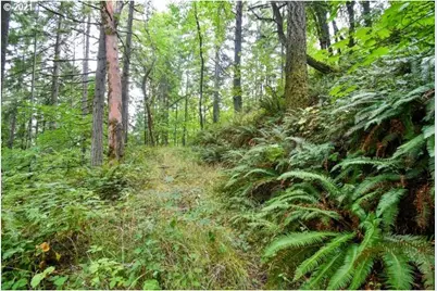 32475 Fox Hollow Rd, Eugene, OR 97405 - Photo 29