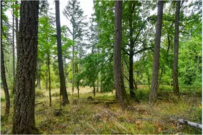 32475 Fox Hollow Rd, Eugene, OR 97405 - Photo 3