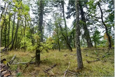 32475 Fox Hollow Rd, Eugene, OR 97405 - Photo 11