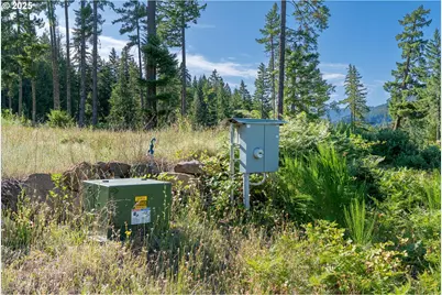 Boulder Ridge, Carson, WA 98610 - Photo 21