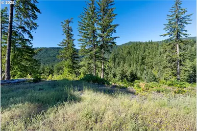 Boulder Ridge, Carson, WA 98610 - Photo 17