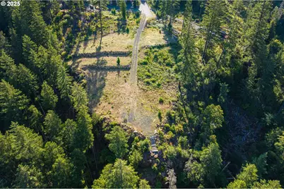 Boulder Ridge, Carson, WA 98610 - Photo 5