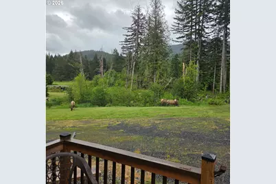 252 Blackledge Rd, Carson, WA 98610 - Photo 45