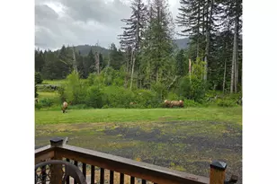 252 Blackledge Rd, Carson, WA 98610 - Photo 45