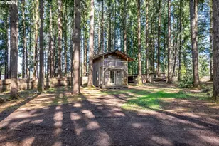 302 Studebaker Rd, Castle Rock, WA 98611 - Photo 27