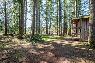 302 Studebaker Rd, Castle Rock, WA 98611 - Photo 29