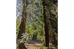 31366 SE Jackknife Rd, Eagle Creek, OR 97022 - Photo 37