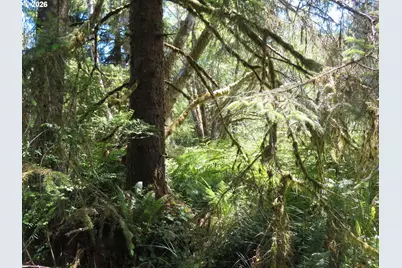 State Route 101, South Bend, WA 98586 - Photo 5