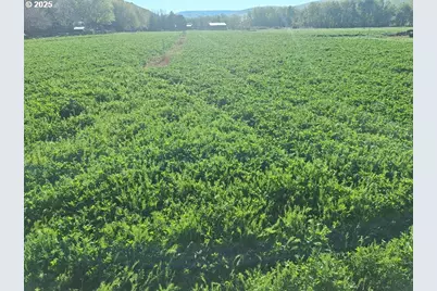 54884 Day Rd, Milton-Freewater, OR 97862 - Photo 7