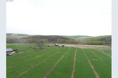 54884 Day Rd, Milton-Freewater, OR 97862 - Photo 5