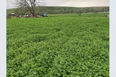 54884 Day Rd, Milton-Freewater, OR 97862 - Photo 11