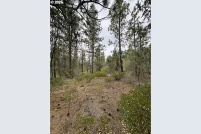 Gibbon Ln, Bonanza, OR 97623 - Photo 1