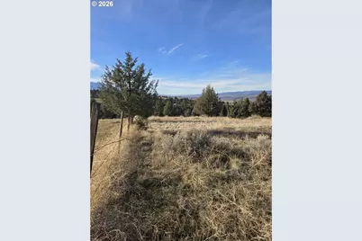 Laycock Creek Rd., Mount Vernon, OR 97865 - Photo 3