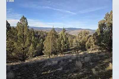 Laycock Creek Rd., Mount Vernon, OR 97865 - Photo 9