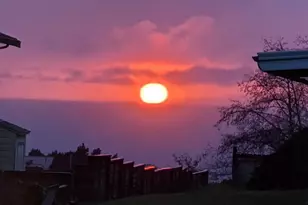 814 Paradise Ln, Brookings, OR 97415 - Photo 19