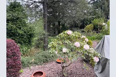 1484 Seacrest Ln, Brookings, OR 97415 - Photo 7
