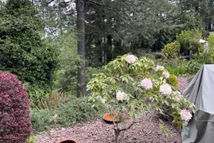 1484 Seacrest Ln, Brookings, OR 97415 - Photo 7