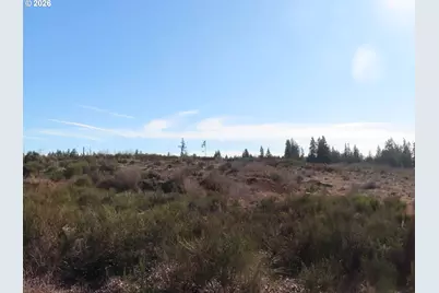 2906 357th St E, Eatonville, WA 98328 - Photo 15