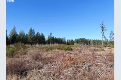 2906 357th St E, Eatonville, WA 98328 - Photo 11