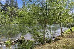 46151 Goodpasture Rd, Vida, OR 97488 - Photo 45