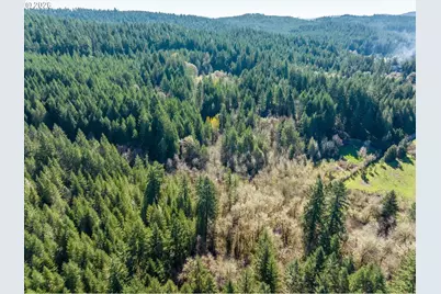 89435 Fields Rd, Elmira, OR 97437 - Photo 31