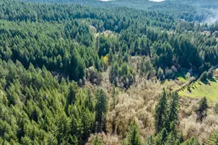 89435 Fields Rd, Elmira, OR 97437 - Photo 31