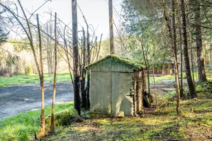 89435 Fields Rd, Elmira, OR 97437 - Photo 7