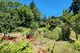 2537 Port Orford Loop, Port Orford, OR 97465 - Photo 25