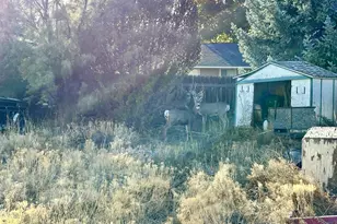 3055 Grove St, Baker City, OR 97814 - Photo 15