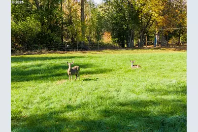 411 Woodland Dr, Winston, OR 97496 - Photo 43