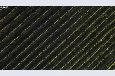 5450 Mill Creek Rd, The Dalles, OR 97058 - Photo 43