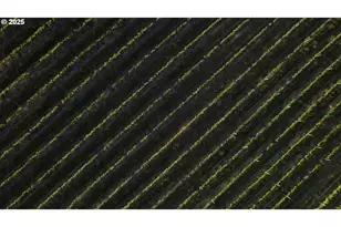 5450 Mill Creek Rd, The Dalles, OR 97058 - Photo 43