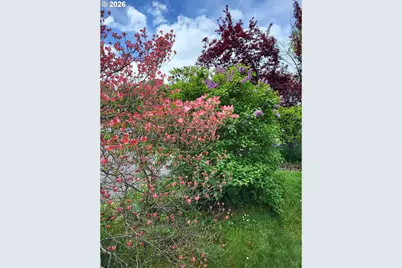 2020 Del Mar Dr, Roseburg, OR 97471 - Photo 19