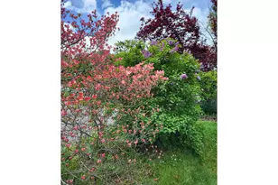 2020 Del Mar Dr, Roseburg, OR 97471 - Photo 19