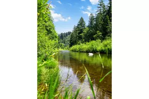 10842 Washougal River Rd, Washougal, WA 98671 - Photo 3