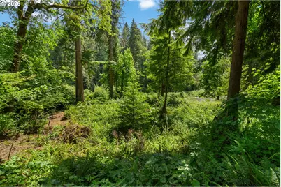 10842 Washougal River Rd, Washougal, WA 98671 - Photo 35