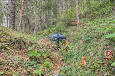7007 Placer Rd, Wolf Creek, OR 97497 - Photo 47