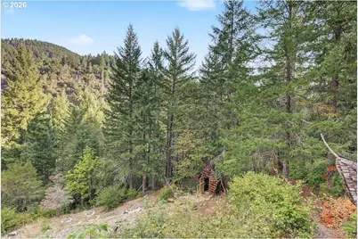 7007 Placer Rd, Wolf Creek, OR 97497 - Photo 9