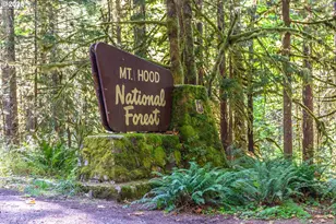 29409 E Edgewater Dr, Mount Hood Village, OR 97067 - Photo 43