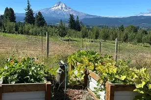 6125 Miller Rd, Mount Hood Prkdl, OR 97041 - Photo 41