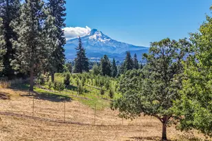 6125 Miller Rd, Mount Hood Prkdl, OR 97041 - Photo 37