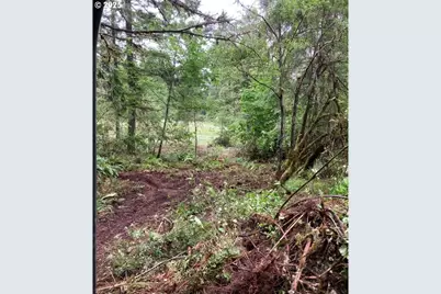 Lazy E Way Parcel 3, Creswell, OR 97426 - Photo 15