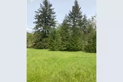 Lazy E Way Parcel 3, Creswell, OR 97426 - Photo 7