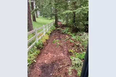 Lazy E Way Parcel 3, Creswell, OR 97426 - Photo 13